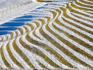 Master gestion culturelle : formations, programmes et débouchés